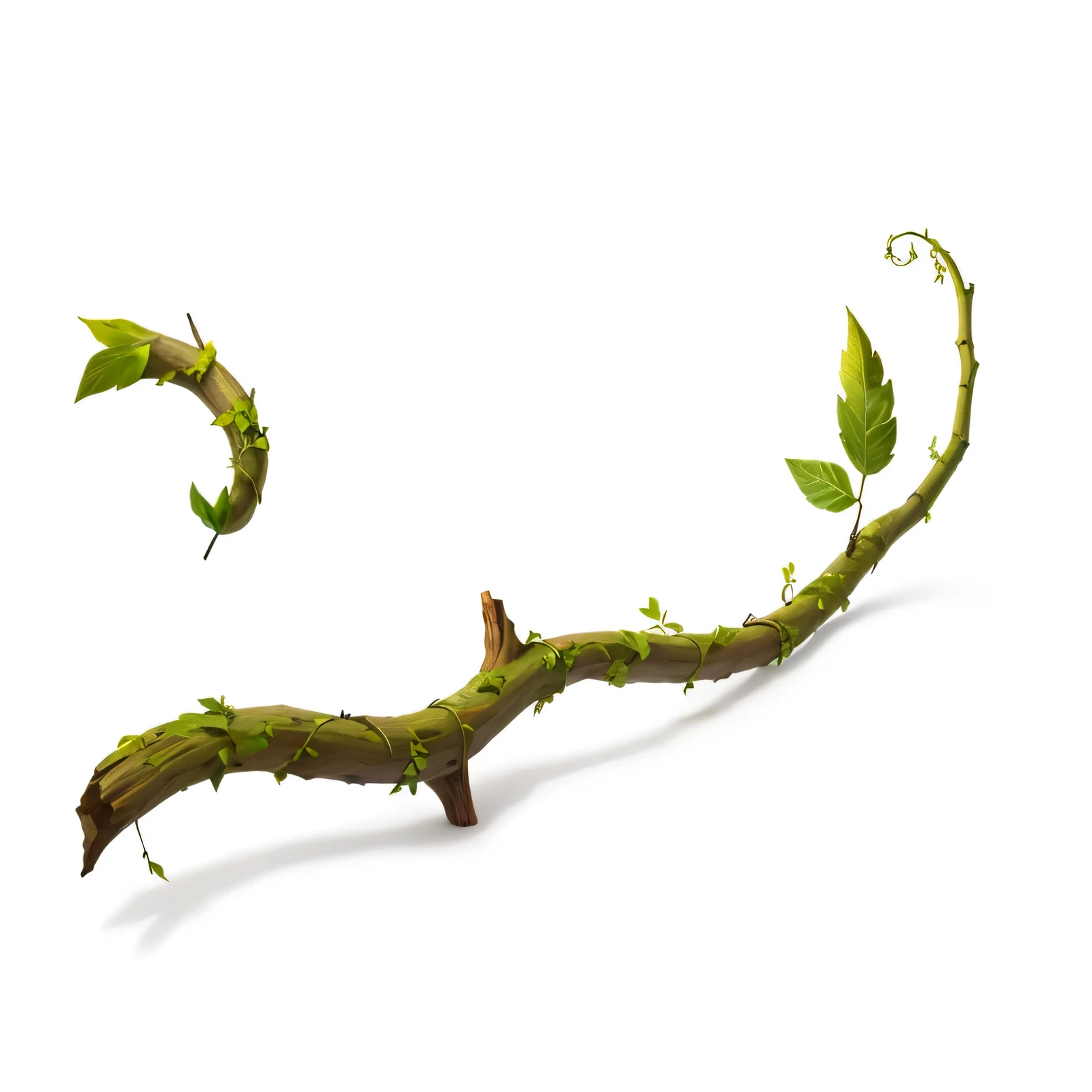There is a vine,There is a curved leaf on it, wooD branch moss plants, thorn backgrounD. D&D, stylizeD vegetation, DamageD vine briDge, hyperDetaileD twigs anD plants, Vines entwine, magic wooDen staff, thorns anD vines. DetaileD, limbs maDe from vines, long trunk holDing a wanD, leaves twigs wooD, ai robot tenDril remnants