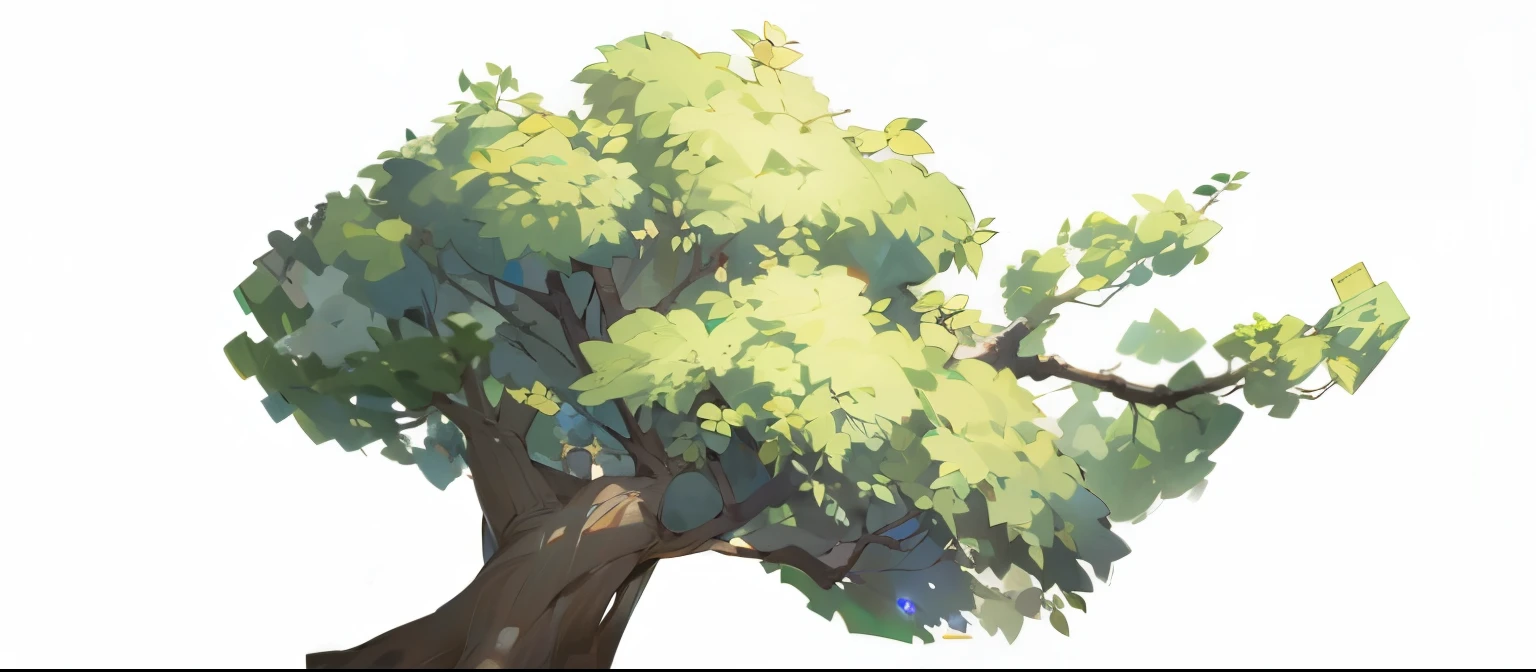 Tree,Direct vision, high quality, Tree叶,Meticulous portrayal,Clear structure