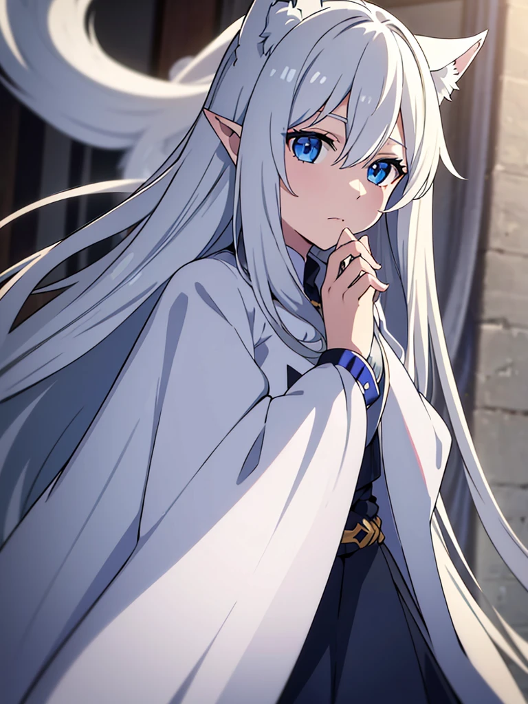 Best quorty,wolf ears,ears up,pointy ears,very long hair,white hair,sidelocks,hair between eyes,crossed bangs,blue eyes