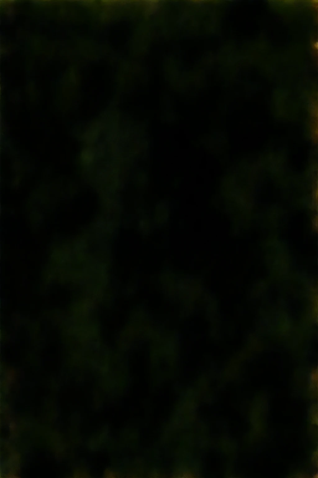 (Masterpiece: 1.4), High Resolution, Ultra-Detailed: 1.2, Radiant Forest, Late Afternoon, (Age: 25), Young Woman, Brown Hair, Sun-Kissed Highlights, Voluminous Curls, (Parted: 0.8), (Brown Eyes: 1.2), Dressed in a Bohemian-Inspired Maxi Dress, Delicate Lace Details, Flowing Fabric, Shades of Green, (Botanical Print: 1.3), (Natural Makeup: 1.5), Minimalistic Jewelry, (Hoop Earrings: 