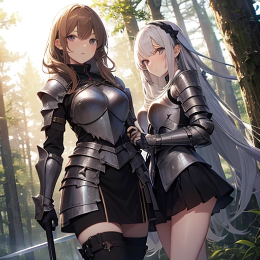 A group of female knight, (in forest), various hair styles, harem, wearing armored clothes, metal armor, night, details face, , short skirt, seducing, sword