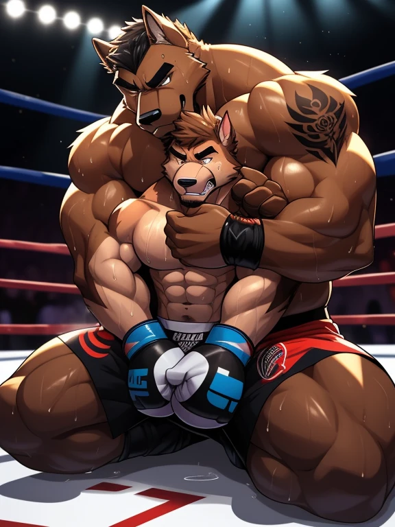 Duo male(Brown Dog vs Brown Dog, handsomes, perfect eyes, Thick eyebrows), gay(sitting on the ground, legs on legs, cuddling embraced from behind, in a boxing ring), hot(Shirtless), handsomes(They are handsomes, correct anatomy), musculosos(Big muscle bodies, Six packs, muscle abs, big pecs, muscle backs), sweaty(very sweaty wet bodies, shiny sweat), tatuajes(they have tattoos), Angry(They have an angry expression), UFC gloves(They both are wearing black UFC gloves), boxers(They both are wearing black UFC boxers), Hight resolution