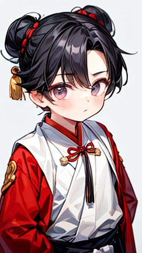 Three Kingdoms、Boy in ancient Chinese costume、Intelligent boy、Looking into the camera、There is a topknot on the head.、Hanfu、Black Hair、Standing and posing with arms crossed