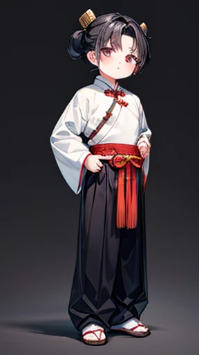 Three Kingdoms、Boy in ancient Chinese costume、Intelligent boy、Looking into the camera、There is a topknot on the head、Hanfu、Black Hair、Standing and posing with arms crossed、Long sleeves