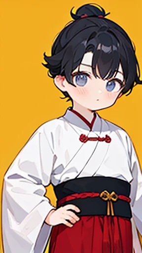 Three Kingdoms、Boy in ancient Chinese costume、Intelligent boy、Looking into the camera、There is a topknot on the head、Long sleeve、Hanfu、Black Hair、Standing and posing with arms crossed、Parting the bangs