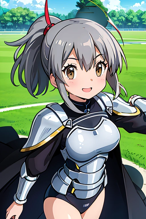 Ayaka, Solemn knight with ponytail、Gray Hair, In the middle of the field background, Add a touch of Knight Armor(0.7) To your charm. She has medium breasts and、She has a charming smile and hair accessories.、Wearing a black high-cut swimsuit、Solo