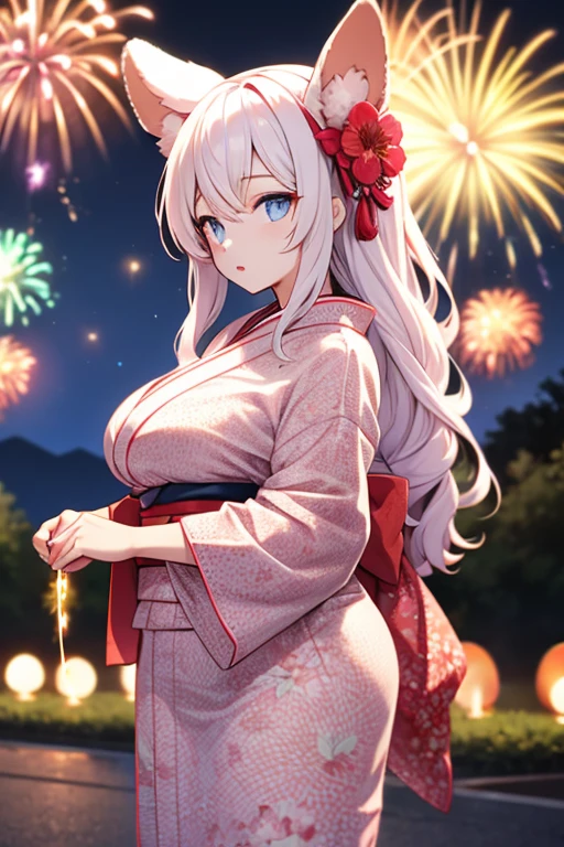 Animal ears girl Floral kimono Big Breasts See-through Night view firework Hot Dog