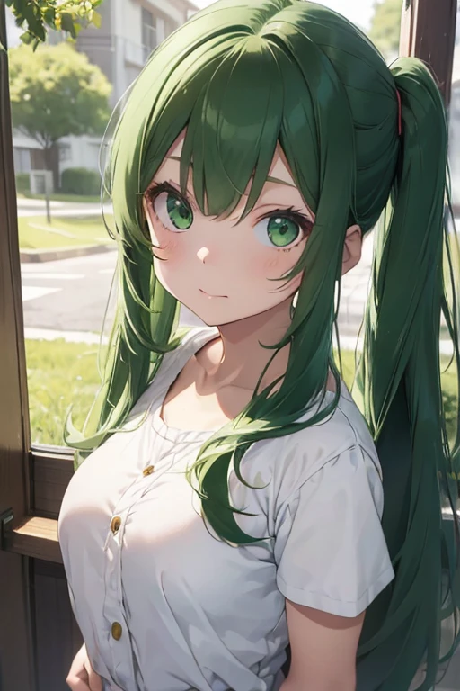 /(girl1),(anime),(White skin color),(Green eyes),(),(12 yeng green hair),(With bust size 160cm)