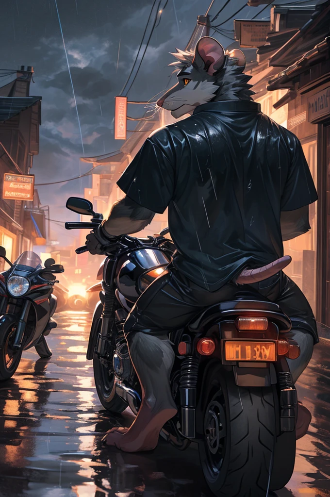 handsome male, rat, tall slinky muscular build, light silver long messy fringe, ((best quality)), ((masterpiece)), (detailed), perfect face, silver fur, gold eyes, detailed eyes , large baggy white t-shirt, mysterious, realistic, rain, raining, black shorts, black sports motorcycle, riding motorcycle, dimly lit country road setting,
