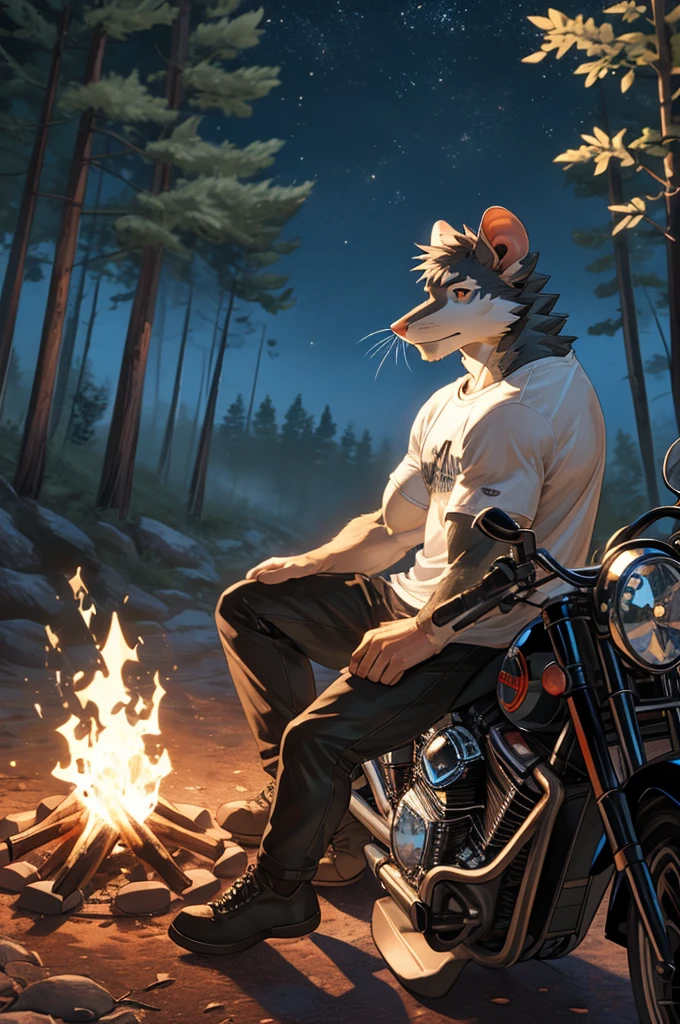 handsome male, rat, tall slinky muscular build, light silver long messy fringe, ((best quality)), ((masterpiece)), (detailed), perfect face, silver fur, gold eyes, detailed eyes , large baggy white t-shirt, mysterious, black shorts, black sports motorcycle, forest, campfire, sat leaning against motorcycle, legs crossed,