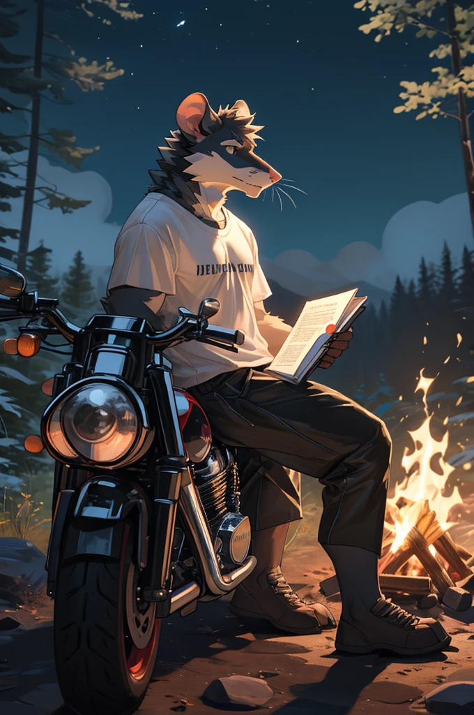 handsome male, rat, tall slinky semi muscular build, light silver long messy fringe, ((best quality)), ((masterpiece)), (detailed), perfect face, silver fur, gold eyes, detailed eyes , large baggy white t-shirt, mysterious, black shorts, black sports motorcycle, forest, campfire, sat leaning against motorcycle, holding folder, setting folder on fire,