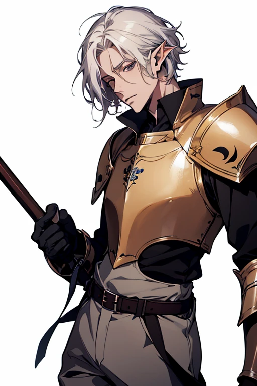 (excellent quality), (high resolution), (absurdreasterpiece) ((man)), (male), half elf, white hair, disheveled hair, ((paladin)), ((shirt, pants)), character looking at the camera, detailed face, ((medieval)), ((bang)), (((simple clothes))), portrait, small eyes, traveled warrior