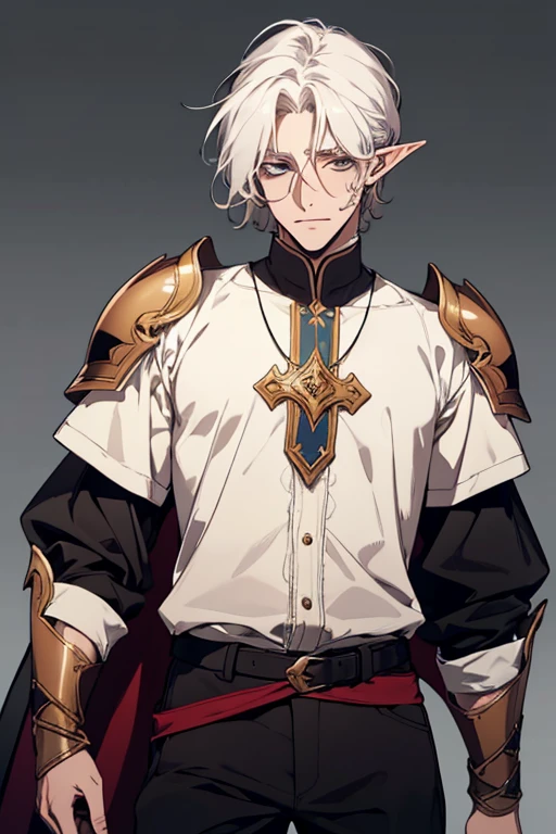 (excellent quality), (high resolution), (absurdreasterpiece) ((man)), (male), half elf, white hair, disheveled hair, ((paladin)), ((shirt, pants)), character looking at the camera, detailed face, ((medieval)), ((bang)), (((simple clothes))), portrait, small eyes, traveled warrior