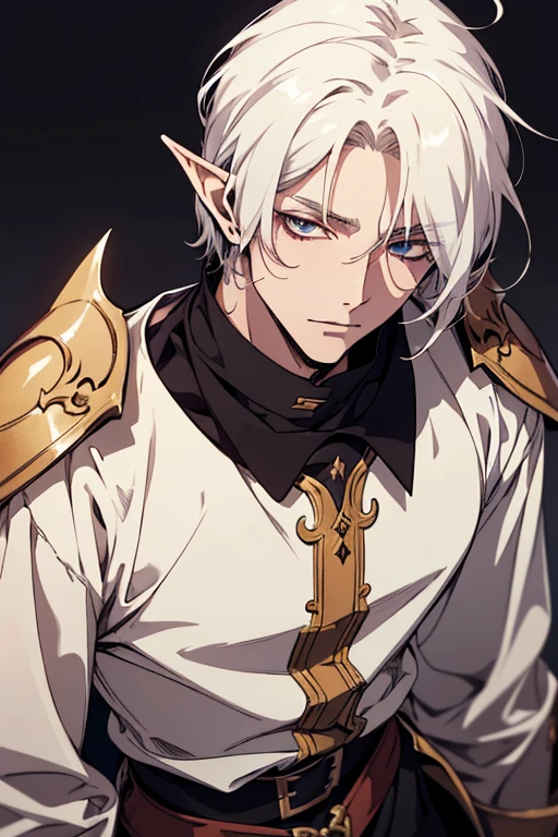 (excellent quality), (high resolution), (absurdreasterpiece) ((man)), (male), half elf, white hair, disheveled hair, ((paladin)), ((shirt, pants)), character looking at the camera, detailed face, ((medieval)), ((bang)), (((simple clothes))), portrait, small eyes, traveled warrior