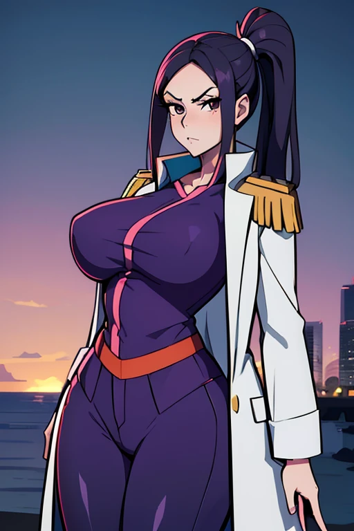 masterpiece, best quality, miss valentine, black eyes, folded ponytail, white coat, coat on shoulders, epaulettes, purple shirt, blue pants, upper body, looking at viewer, large breasts, ocean, city ,(hd), (full body shot), (high resolution)