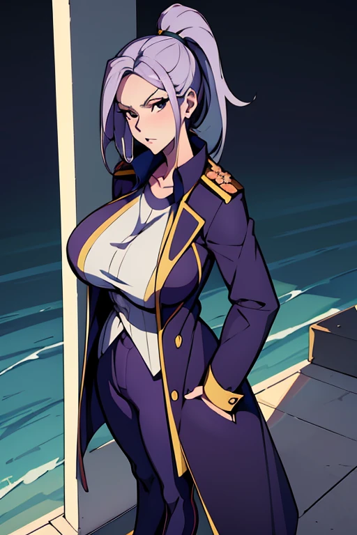 masterpiece, best quality, miss valentine, black eyes, folded ponytail, white long coat, coat on shoulders, epaulettes, purple shirt, blue pants, upper body, looking at viewer, large breasts, ocean, city ,(hd), (full body shot), (high resolution)