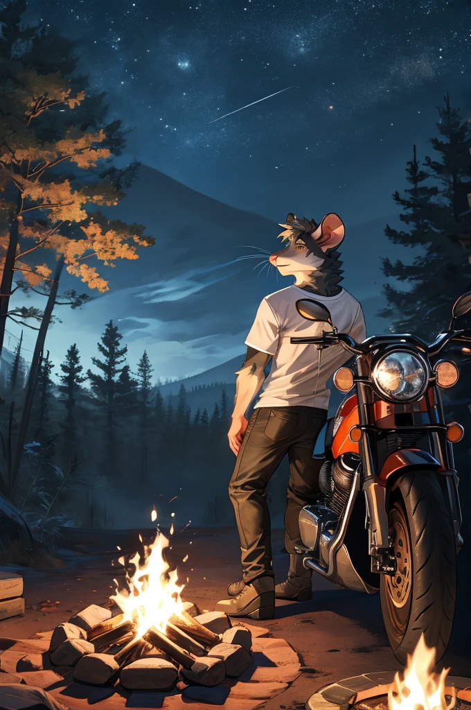 handsome male, rat, tall slinky semi muscular build, light silver long messy fringe, ((best quality)), ((masterpiece)), (detailed), perfect face, silver fur, gold eyes, detailed eyes , large baggy white t-shirt, mysterious, black shorts, black sports motorcycle, forest, campfire, night, leaning against motorcycle,