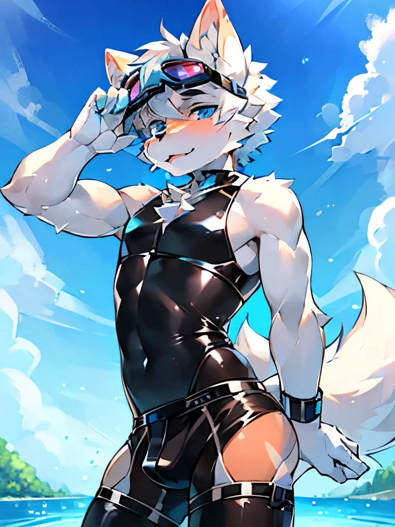 Furry，wolf boy，White fur，crystal blue eyes，Single fluffy tail，greyt hair，short detailed hair，summer day，dive，Wear diving goggles，masculine features，Squat，asshole，very long bulge，Sexy latex swimsuit，Sexy pose，Posture of seduction，((seduce)),(boner)，cuming，(((Three-point)))，(((Metal Clothing)))