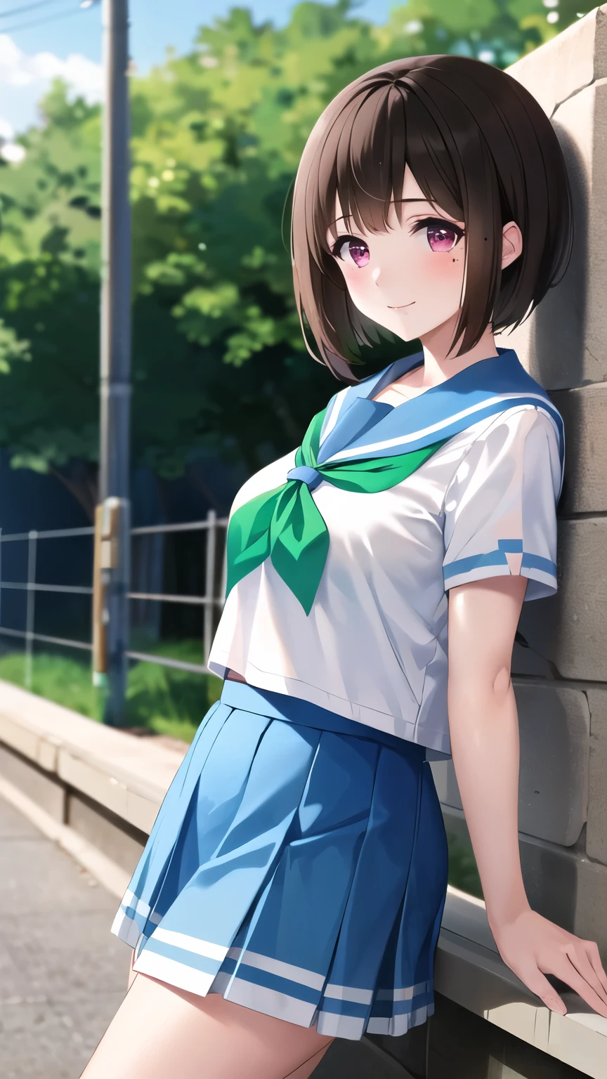 masterpiece, best quality, highres, 1girl, solo, brown hair, short hair, purple eyes, mole under eye, , white shirt, blue sailor collar, green neckerchief,  short sleeves, blue skirt, cowboy shot, smile,blush