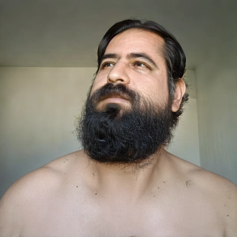 (masterpiece, best quality:1.2), 1boy, barba