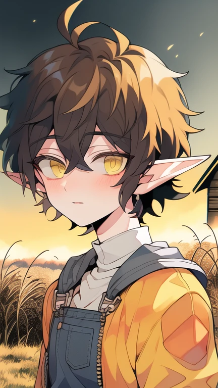 Best quality, Super detailed illustration, Warm colors, Ideal lighting, perfect detail, elf boy, Elven ears, Femboy,  short hair, dirty hair, yellow eyes, overalls with a jacket underneath, gloved, flat chest, Bright eyes, whole body, against the backdrop of an old barn