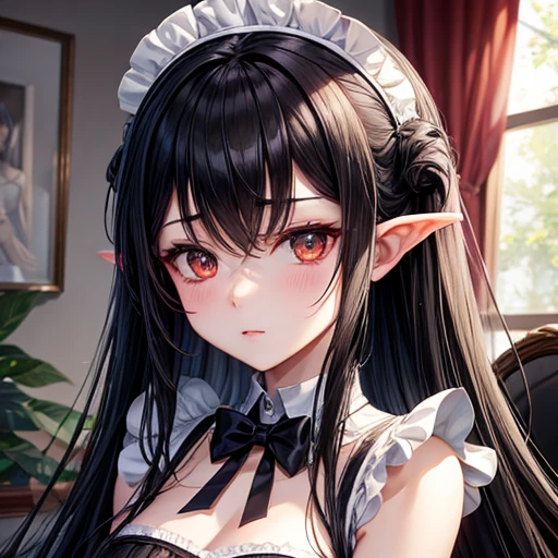 Expressionless succubus maid　Long black hair　 Looks like a 30 year old　Classical maid outfit