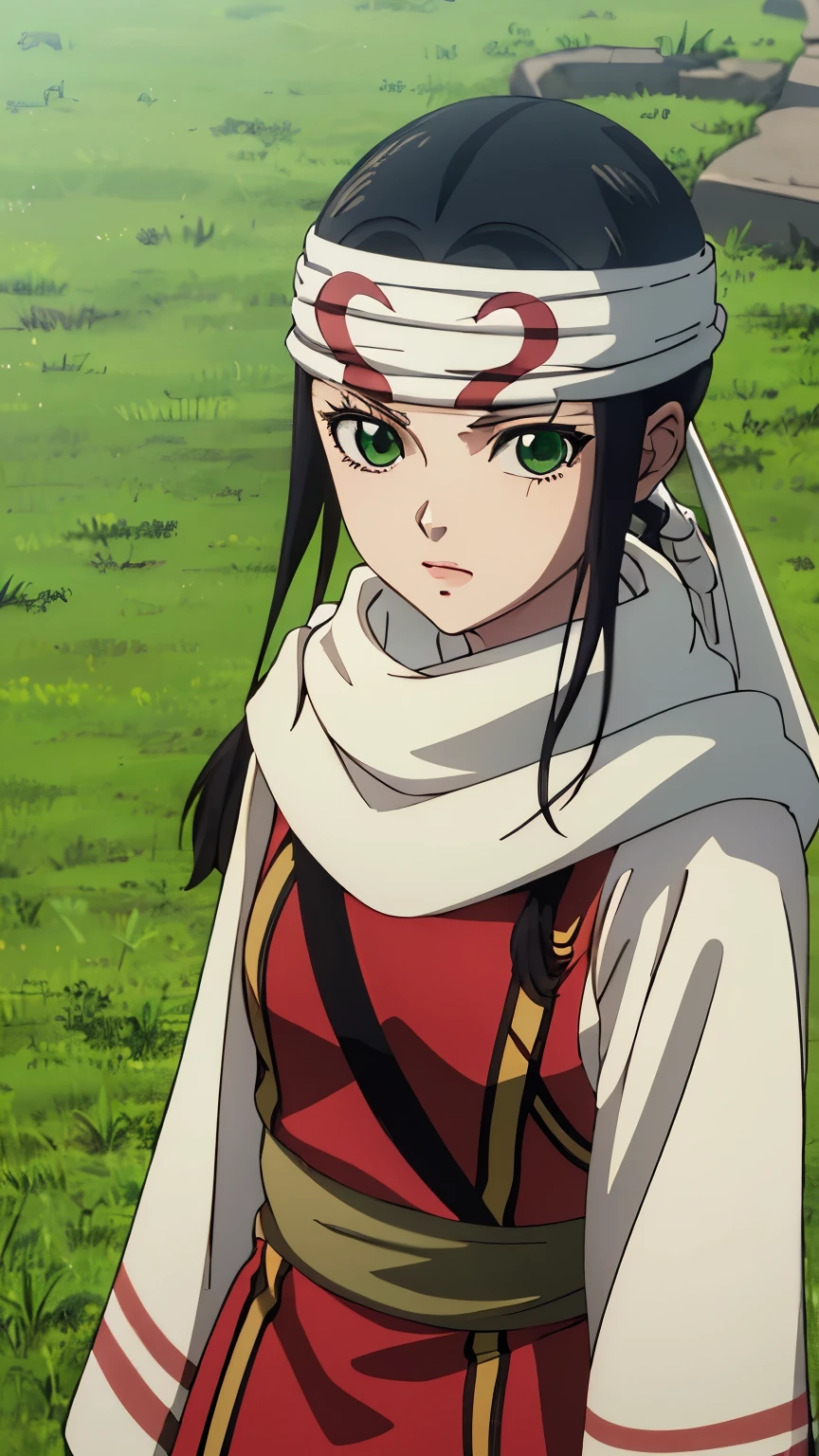 (masterpiece, best quality, 8k,),
1 girl, Kyoukai, black hair, braids, (ponytail, green eyes, headband, scarf),
alone, looking at the viewer, grass, blue sky, grassland background 