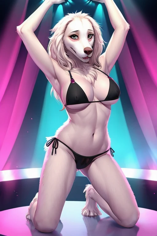 Borzoi stripper bikini