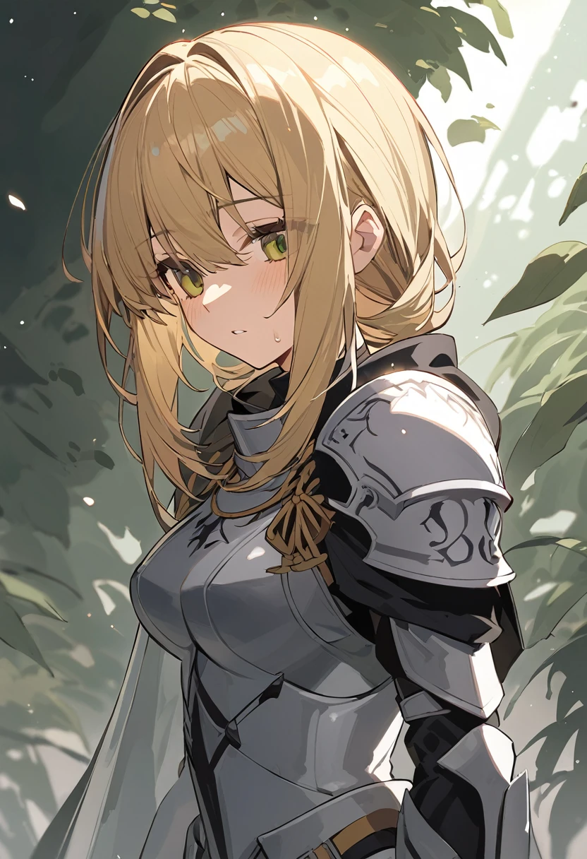 Female Knight Blonde Silent