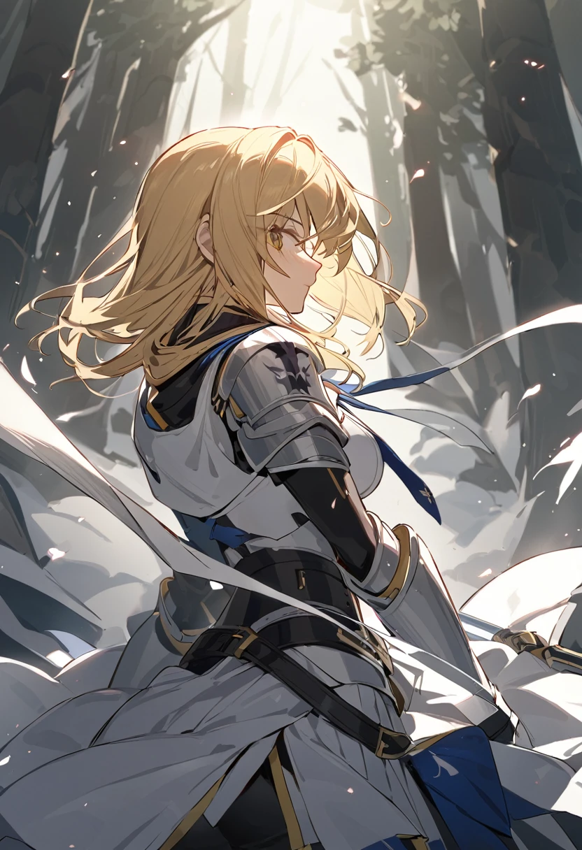 Female knight Swordsman Blonde Silent