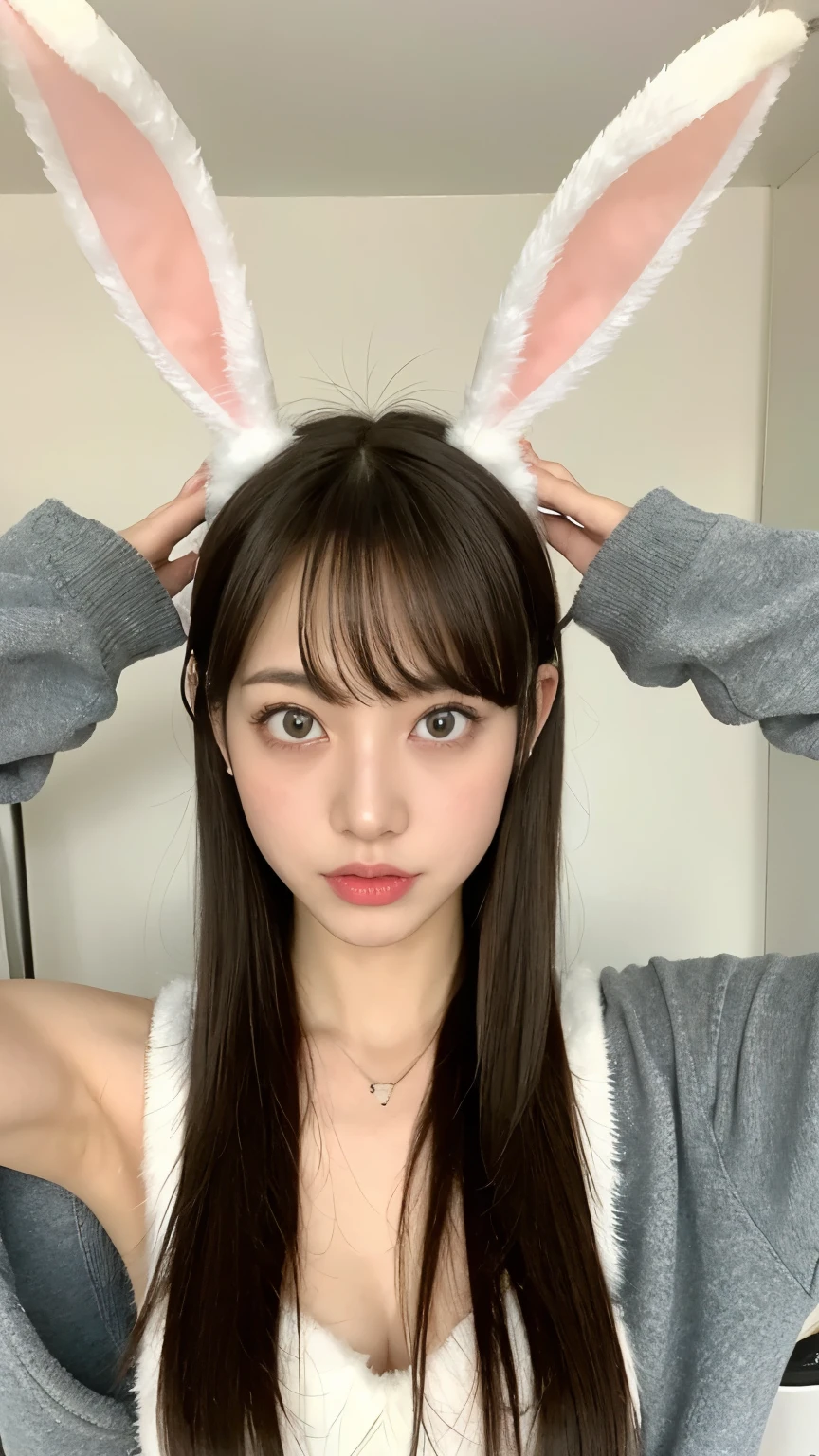 Rabbit Ears