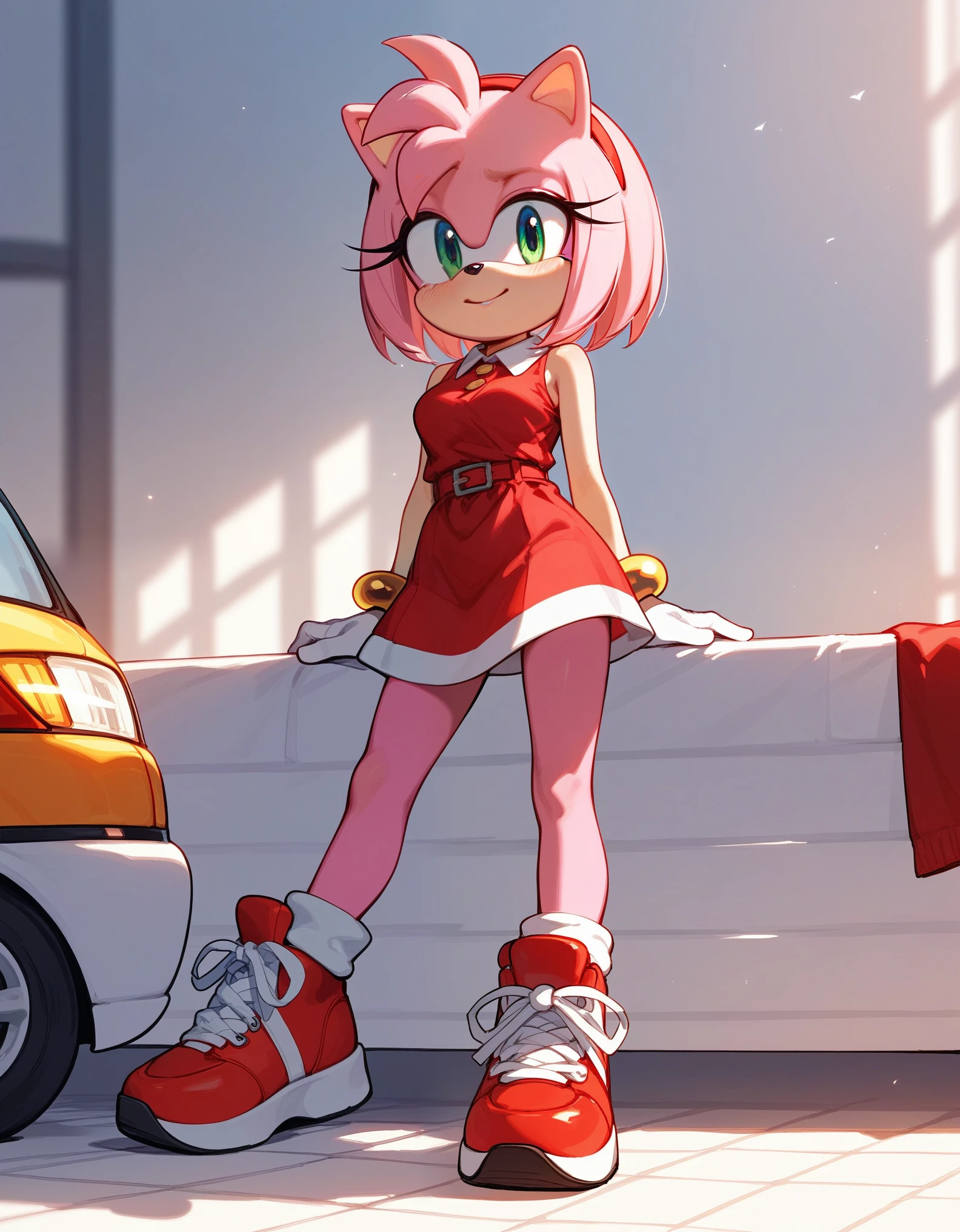 , score_9,score_8_up,score_7_up, source_cartoon, source_furry, amy rose from sonic series