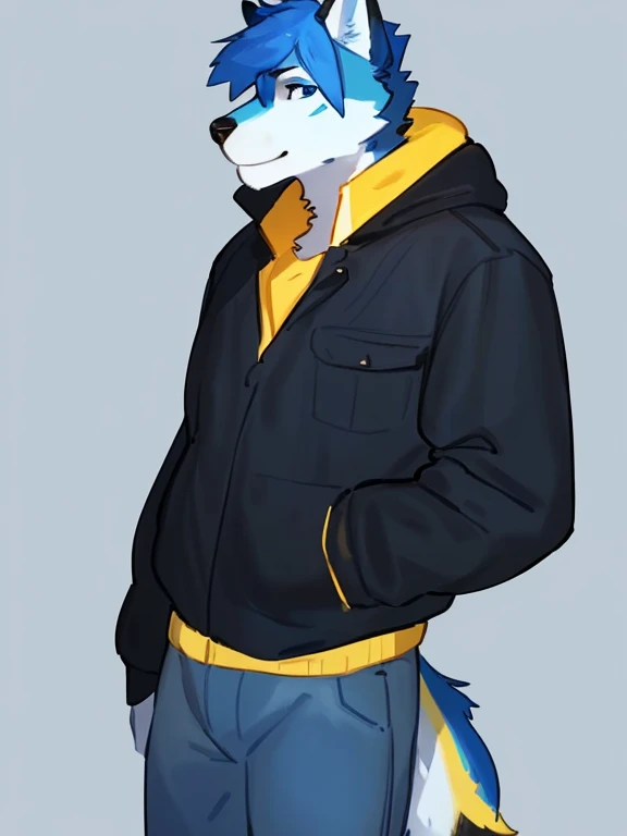 By bebebebebe, by lostgoose, by goonie-san, alone, man, wolf, blue and white fur, blue eyes, black and yellow shirt and jacket, jeans, standing, facing viewer, ((blue hair alborotado with yellow and black, anthro furry)),cabello,