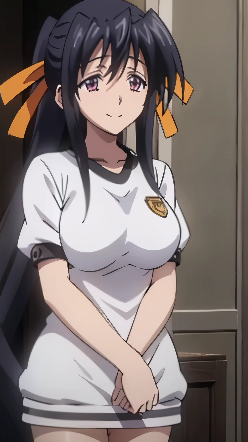 Akeno Himejima, smile, beautiful