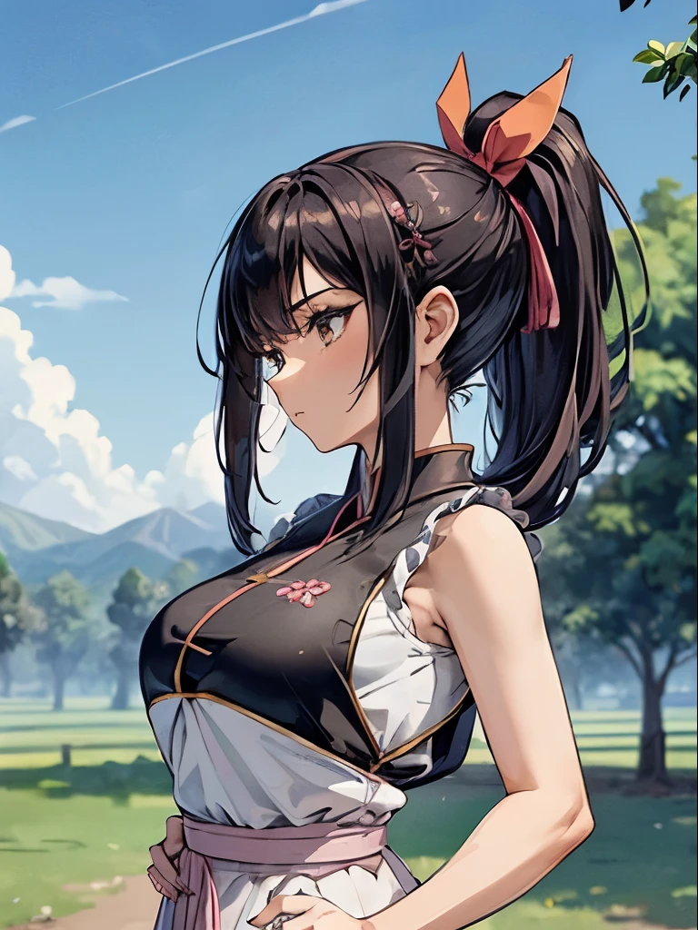 Busty woman, large chest, ponytail , blue ribbon, brown eyes, long hair, black hair,
Standing in a kung fu pose, alone , Upper body,
hip,
cowboy shot,
Light pink Chinese dress, Pink obi, super mini skirt, sleeveless, white panties、
blue sky, cloudy, evening,
(very detailed, beautiful and detailed face, masterpiece, highest quality