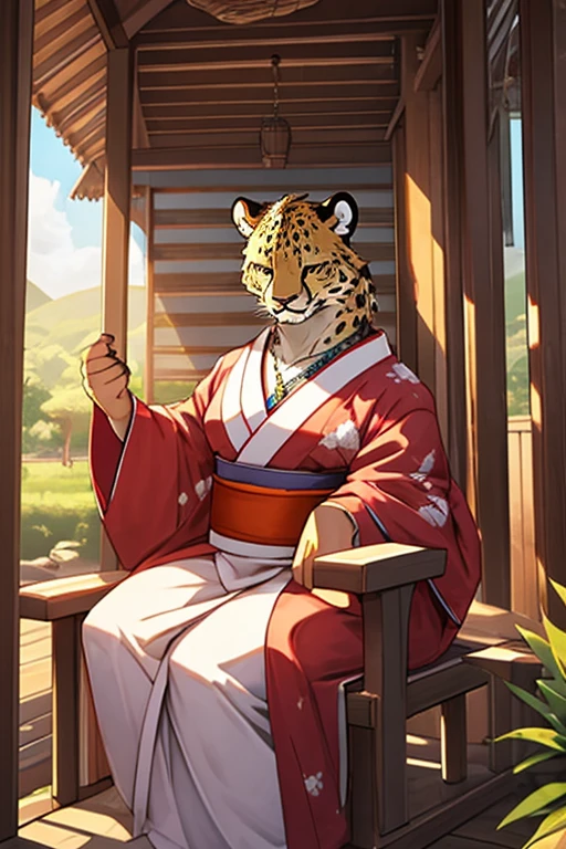 Fat cheetah, hammock, kimono, silver necklaces and earloops