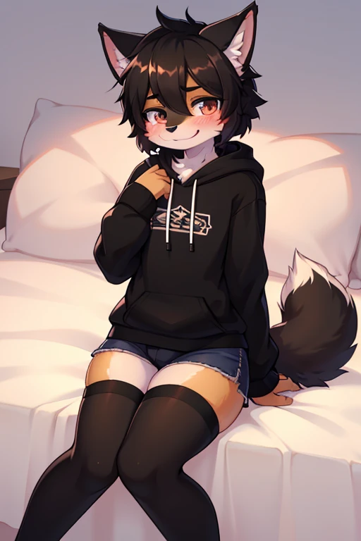 1 fluffy dog boy, fluffy fur, fluffy tail ((Black fur)), tricky glance, mischievous smile, sweatshirt, short shorts, perfect body, femboy, long stockings, on bed, blushing