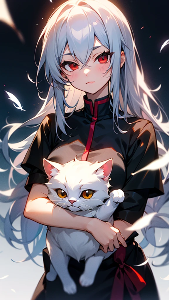 Highest quality　I have long hair　Gray Hair　Sagume Rare God　Feathered 　Red eyes　I don't have anything　vampire　Odd Eye　kind　Miko costume　Cat ear