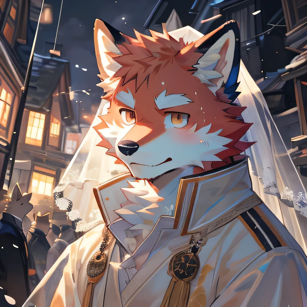 masterpiece，high quality，perfect anatomy，furry，anthro fox，white and red fur，male， niji5，brown pupils，bright eyes，in the rain，wearing wedding dresses，wet，detailed face，by kiyosan，close up face