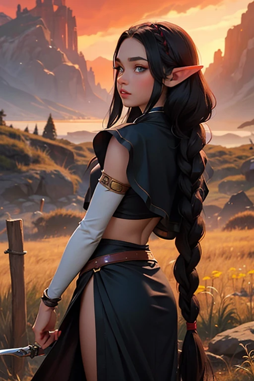 1female elf,long black braided hair,orelhas pontudas, olhos azuis, thin lips, rosto redondo,corpo delgado usando uma armadura leve segurando uma espada fina no campo de batalha, red sky with smoke around.