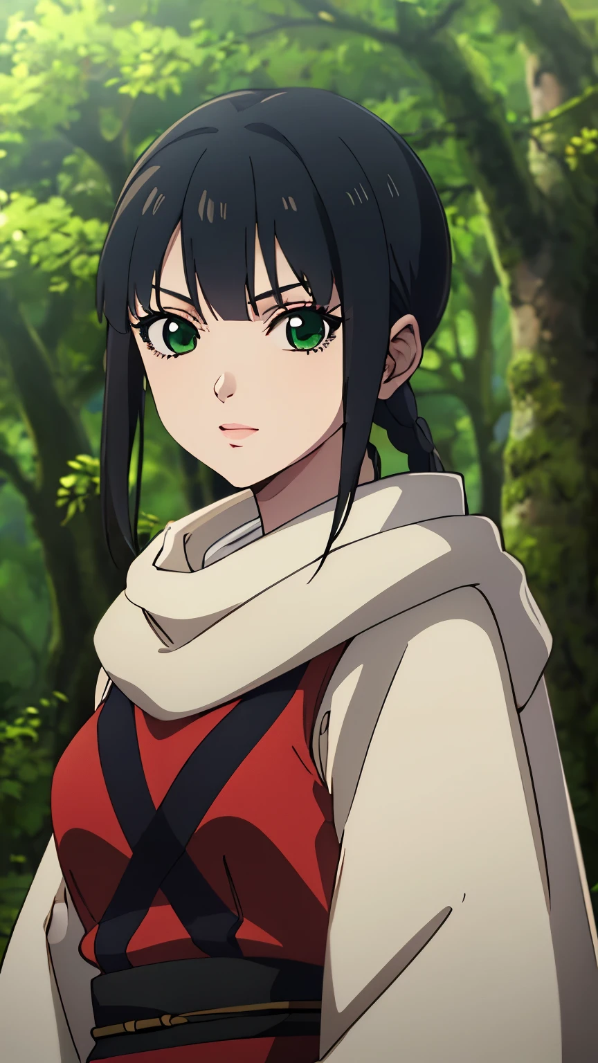 (masterpiece, best quality, 8k:1.2),
1 girl, Kyoukai, black hair, braids, ponytail, green eyes, eyelashes, medium breasts, (ninja, in the forest),
alone, looking at the viewer, 