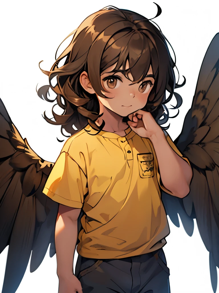 young boy, long dark brown curly hair, fair skin, golden brown eyes, blue shirt, grey pants, wings