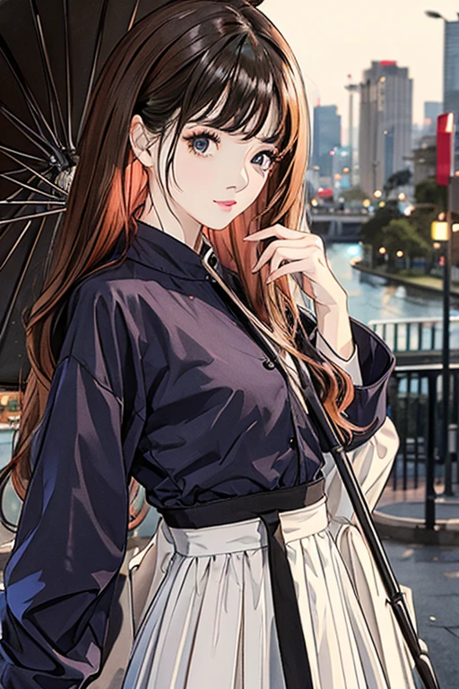high quality、masterpiece、High sensitivity、One Woman、Wet day、Use an umbrella、Going out、Small 
