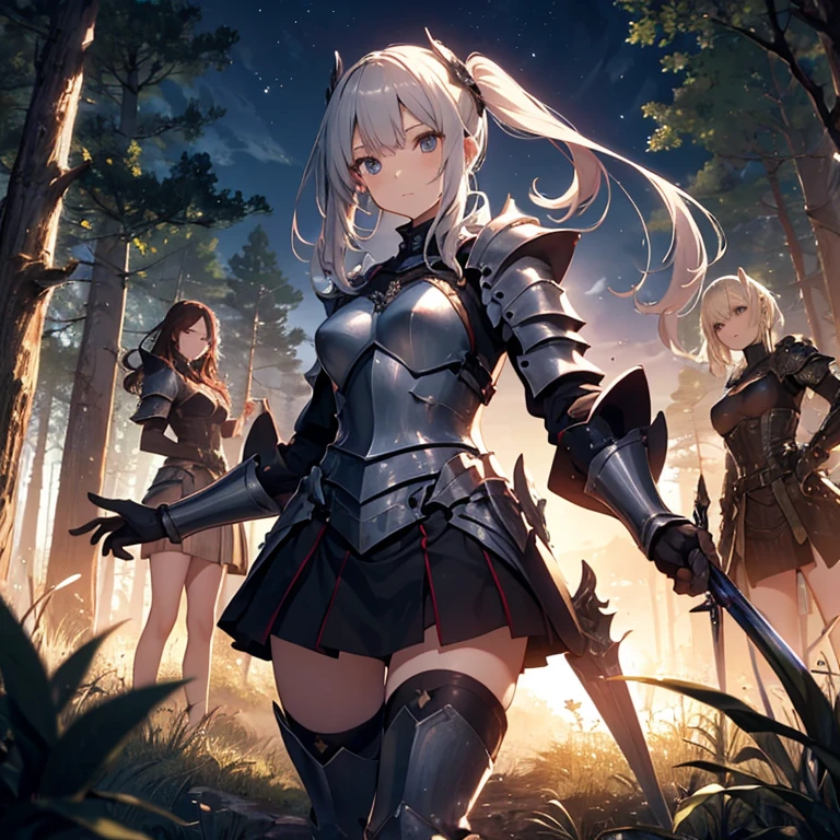 A group of female knight, (in forest), various hair styles, harem, wearing armored clothes, metal armor, night, details face, , short skirt, seducing, sword