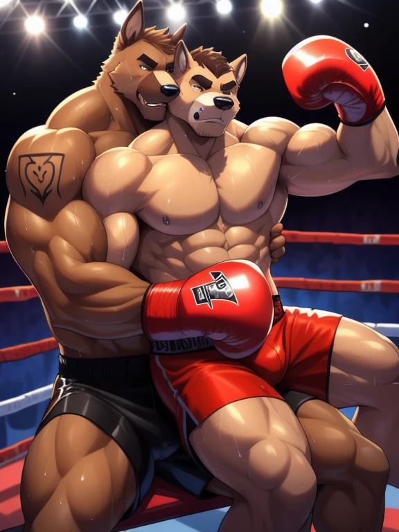 Duo male(Brown Dog vs Brown Dog, handsomes, perfect eyes, Thick eyebrows), gay(Sitting between his legs, legs on legs, cuddling embraced from behind, in a boxing match), hot(Shirtless), handsomes(They are handsomes, correct anatomy), musculosos(Big muscle bodies, Six packs, muscle abs, big pecs, muscle backs, muscle legs), sweaty(very sweaty wet bodies, shiny sweat), tatuajes(they have tattoos), Angry(Both have an angry expression), Boxing gloves(They both are wearing red boxing gloves), boxing shorts(They are wearing boxing shorts), Hight resolution