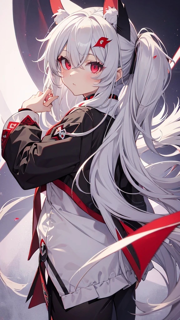 Highest quality　I have long hair　Gray Hair　Sagume Rare God　Feathered 　Red eyes　I don't have anything　vampire　Odd Eye　kind　Miko costume　Cat ear　modern style