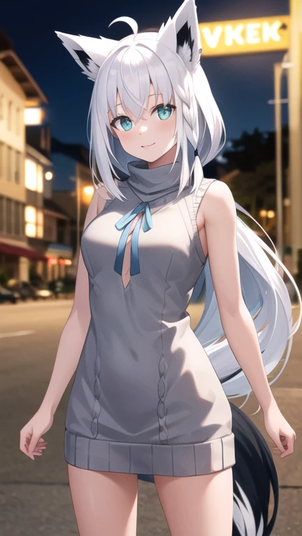 masterpiece, best quality, highres, Shirakami Fubuki, long hair, ahoge, animal ears, fox tail, breasts, outdoors, sweater dress, sleeveless, turtleneck, night, street, standing, cowboy shot,