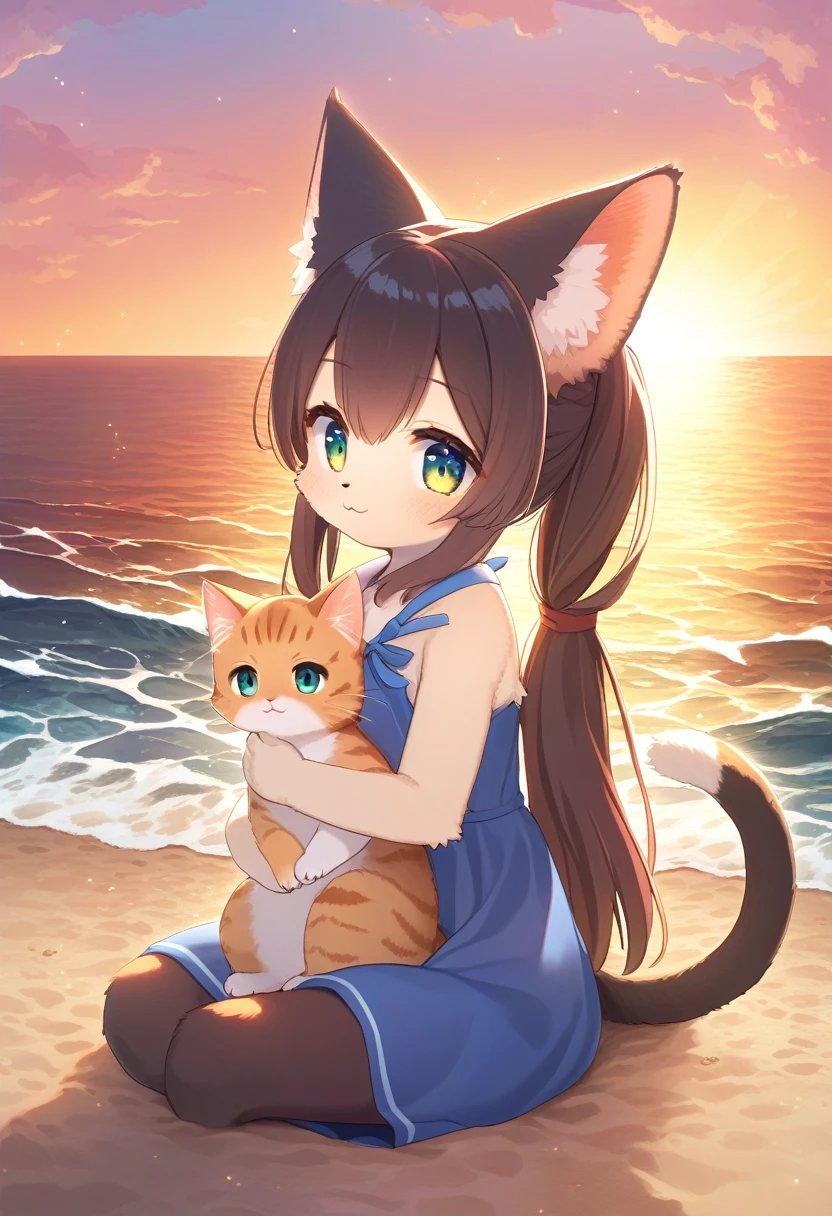 Cat hug Tulle cute Brown Hair camp short hair trip Ocean