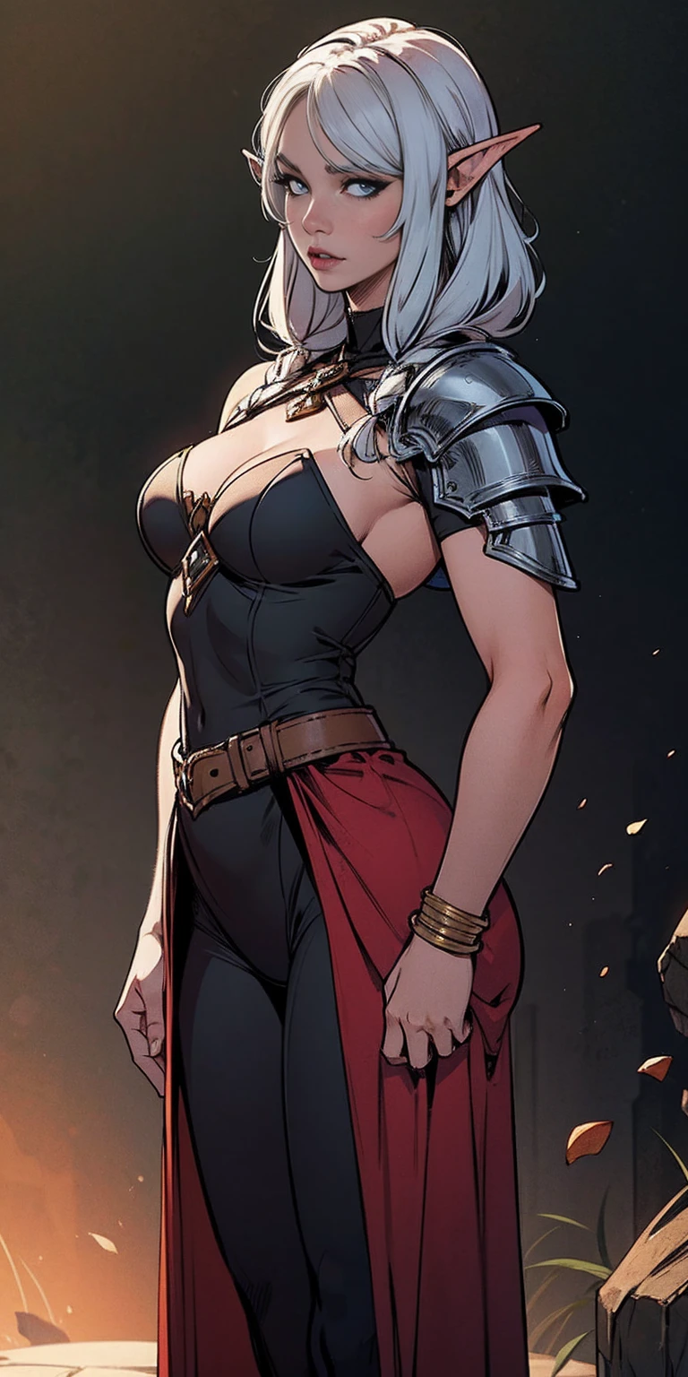 My Servant Is A Female Drow Elf Knight From Another World