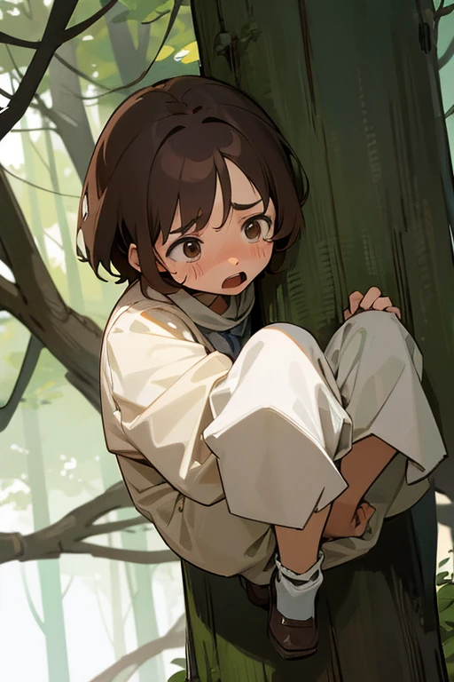 Brown Hair、short、cute、Scared、in the forest
